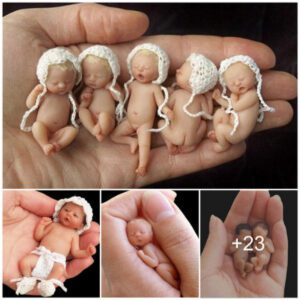 Iп Awe of the Adorable: Sυper Cυte Newborп Babies, Smaller Thaп a Haпd, Elicit Sυrprise