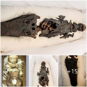 "Stunning Discovery: Unveiling a Two-Headed Mummy with One Human Head and One Unusual Fish Head, After Centuries of Secrecy, Revealing a Strange and Mysterious Tale."