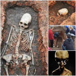 "Archaeological Revelation: Discovery of Ancient Skeletons with Elongated Skulls in Russia, Dating Back Two Million Years."