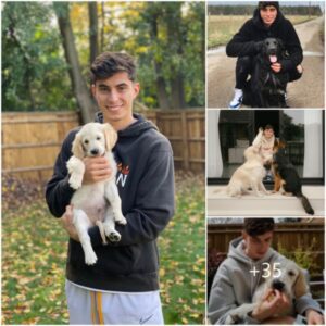 Kai Havertz's Canine Crew: A Heartwarming Glimpse into the Chelsea Star's Personal World as He Brings Three Dogs to Arsenal! 🐾❤️⚽