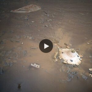 Scientists find UFO debris on Mars