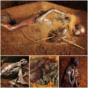 "Decoding the Past: Insights from Analyzing More Than 1,000 Corpses Across Scandinavia, Famous Peatland Mummies."