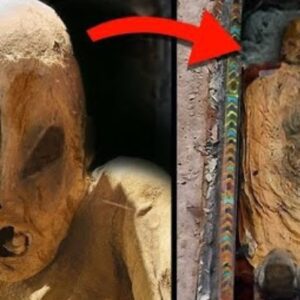 "Unearthing the Unknown in 1902: The Intriguing Discovery of 'Alien' Mummies in Mexico Captures Imaginations and Stirs Debate. Join Us as We Delve into This Historical Mystery."