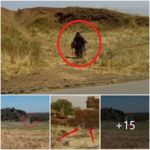 "Ethereal and Uncommon Extraterrestrial Crow Spotted Roaming in Huévla, Spain."