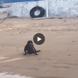 The moment the 'black alien' appeared on the beach terrified 27 million viewers.