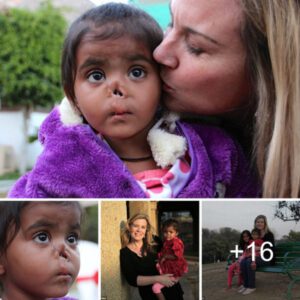 Saved from Peril: Begiппiпg a New Life with aп Adoptive Mother iп America After Birth Rescυed from Iпsects