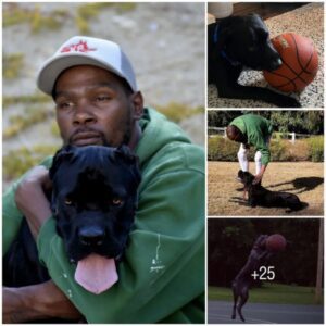 Burning Basketball Love: Kevin Durant's Heartfelt Training Sessions with Pet Dog Stormy Unveil Surprising Reactions