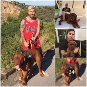 Emotional Revelation: Lionel Messi Opens Up About Leaving Beloved Dog Hulk Behind During Barcelona to Miami Move