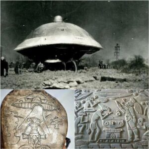 "Brazil's UFO Enigmas: Exploring the Wonders of Ancient Extraterrestrial Encounters."