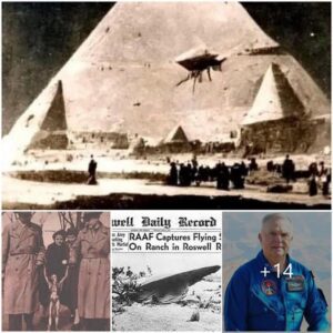 Nasa Says About The Time WҺen PeopƖe First Encounteɾed Ufos And Learned Of The Existence Of Alιens.