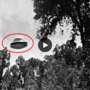 Why is it that when people are always excited to watch videos about UFOs, most scientists are indifferent to them? ‎