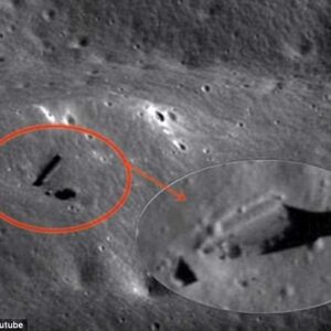 "Identification of Images Potentially Depicting Advanced Camouflage Techniques and Unidentified Objects on the Moon"