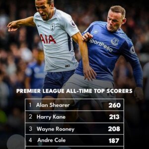 The Premier League's Elite Goal-Scorers: Alan Shearer Leads the Pack with 260 Goals, Followed by Harry Kane, Wayne Rooney, and Legends Crafting Their Legacy in the Top Scorers' Hall of Fame!