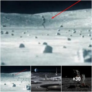 When a Chinese lunar probe purportedly “captured” an alien on the Moon, an enigmatic event took place.