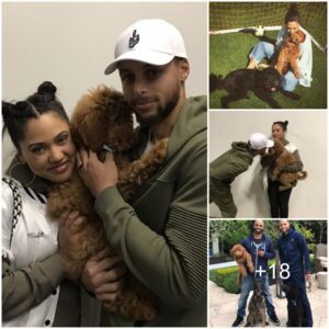 Meet Rookie: Steph Curry's Cute Canine Companion Bringing Joy to the Curry Family