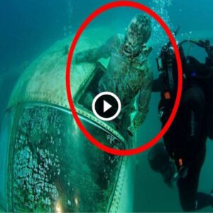 Discovery of an Extraterrestrial Craft in the Bermuda Triangle