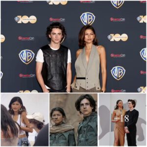 Zendaya and pal Timothee Chalamet show off their best dance moves at her assistant's outdoor birthday party in LA