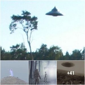 “Encounters with the UFO That Unintentionally Arose on Earth.”