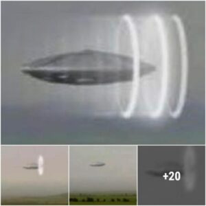 “Viewers saw a weird item moving over a field, but it suddenly disappeared as a circular form appeared in the sky.”