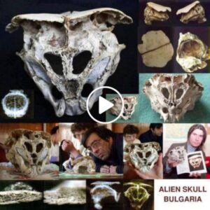 "Mount Rhodope's Startling Secret: Alien Skull Discovery Sparks Controversy Among Scientists. Unraveling the Mystery of Extraterrestrial Connection or Mere Coincidence?"