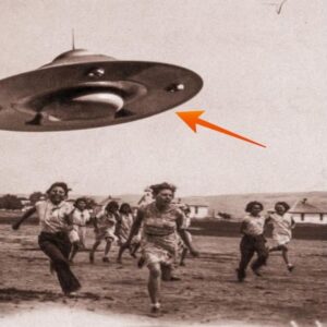 "Social Media Posts Show Panic as UFO Appears Near Ground, Sparking Abduction Fears."