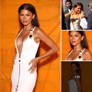 Zendaya Captivates With Charming Elegant Beauty In A Gorgeous Dress