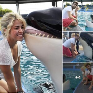 Shakira and Gerard Pique participate in nature exploration activities together at Marine Park