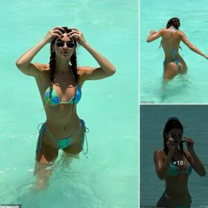 Kendall Jenner stunned with hot bikini, Kardashian was criticized for lavish birthday party