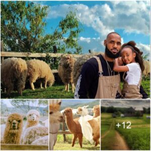 LeBron James Dives into Farm Life: Transitioning from Courtside to Countryside