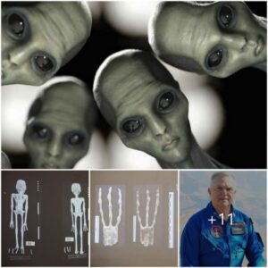 “Alien” Mummies In Peru Have Dna Fɾom An Unknown Sρecie