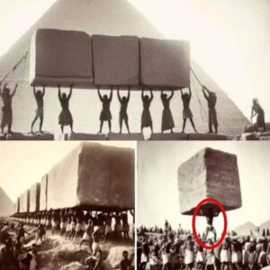 "Aliens and Giants Constructed the Pyramids of Egypt"