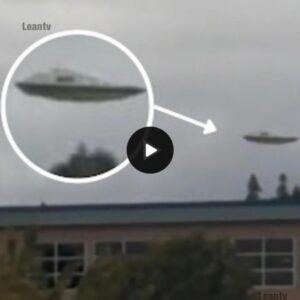 "Mysterious Sight: Unidentified Object Spotted Flying Over Oregon Buildings Sparks Fascination and Debate (Video)"