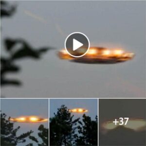 "Eerie UFO Sightings Surface in Hawaiian Mountain Range, Prompting Panic and Mystery (Must-Watch Video)"