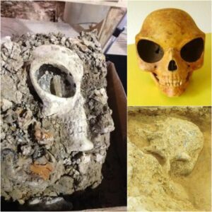 Unraveling Antiquity's Mystery: Unearthed 'Alien' Skull Sparks Speculation on Earth's Enigmatic Past and Lost Civilizations.