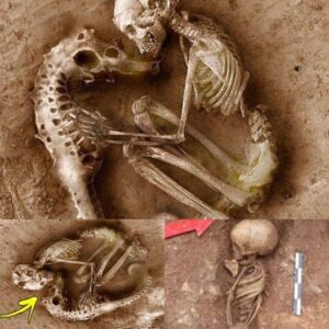 "Enigmatic Discovery: Archaeologists Uncover Baby and Seahorse Skeletons Intertwined in Ancient Burial"