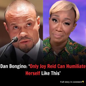 Dan Bongino: ‘Only Joy Reid Can Humiliate Herself Like This’