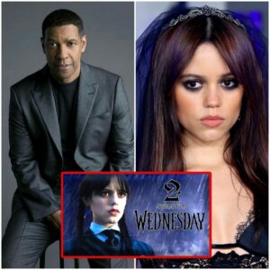 Denzel Washington AGREES to join Jenna Ortega in the famous horror film WEDNESDAY 2.