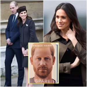 EXCLUSIVE: Meghan was 'offended' when she was 'reprimanded' for telling Kate that she 'must have baby brain because of her hormones' which sparked a huge row, Harry reveals in his memoir