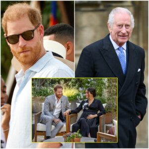 Harry will end war with Charles but only if he gets his way, pals say