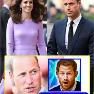 FURIOUS William Sends Harry LAST WARNING To Stop His ' BLOODY RUDE' Way Of Addressing Princess Kate