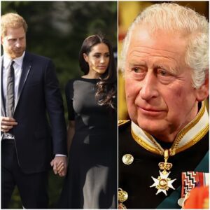 COUNTDOWN: Prince Harry and Meghan Markle Facing Loss of Royal Titles Amid Palace Silence