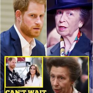 IT MUST BE DONE! Princess Anne Holds Urgent Crisis Meeting To Send Sussexes Out Of The Royal House