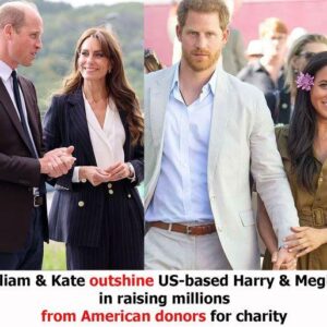 William and Kate outshine US-based Harry and Meghan in raising millions from American donors for charity