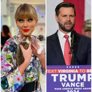 Taylor Swift fans slam JD Vance over his criticism of 'childless cat ladies' after his comments aimed at Kamala Harris resurfaced..t