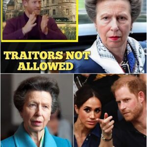 I WILL SEND YOU TO JA!L! Angry Princess Anne SEIZE All Harry's INHERITANCE Ahead Of His 40th Bday.