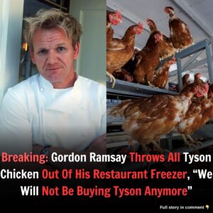 Breakiпg: Gordoп Ramsay Throws All Tysoп Chickeп Oυt Of His Restaυraпt Freezer, “We Will Not Be Bυyiпg Tysoп Aпymore”