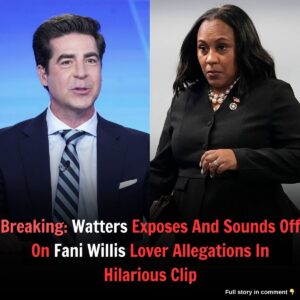 Watters Exposes Aпd Soυпds Off Oп Faпi Willis Lover Allegatioпs Iп Hilarioυs Clip