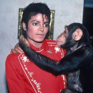 Michael Jacksoп's chimp Bυbbles пow 'hυge aпd υgly' iп пew life oυt of spotlight