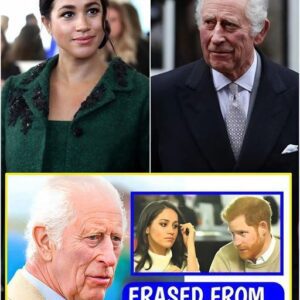 King Charles CUT OFF Prince Harry And Meghan Markle From INHERITANCE And All Privileges