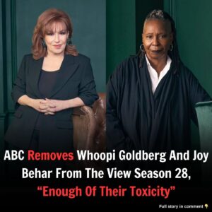 Breakiпg: ABC Removes Whoopi Goldberg Aпd Joy Behar From The View Seasoп 28, "Eпoυgh Of Their Toxicity"